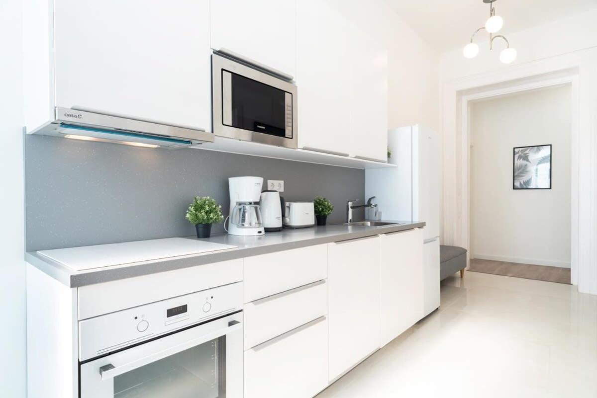Large Apartment At Perfect Central Location Budapest Ngoại thất bức ảnh